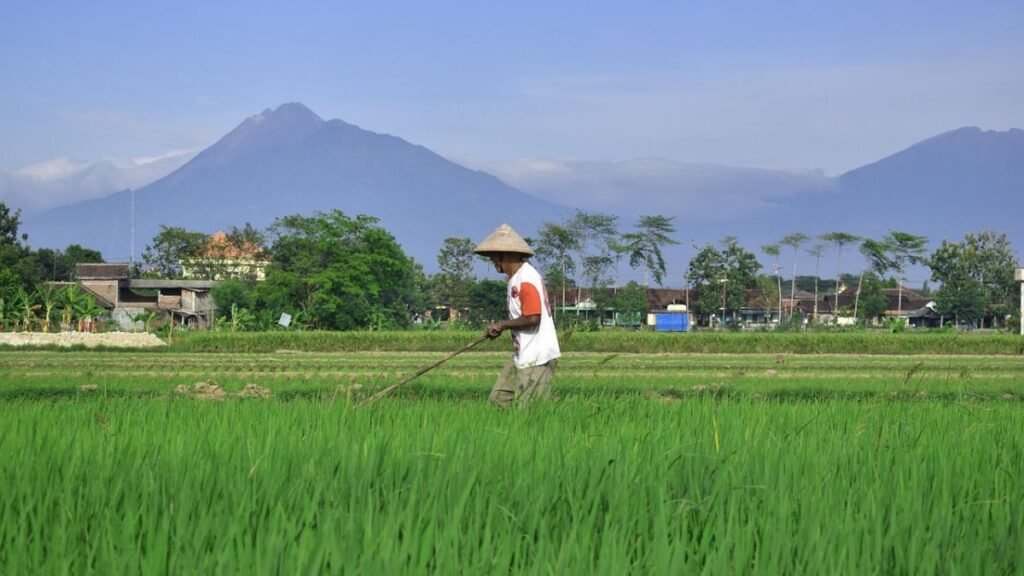 suasana desa