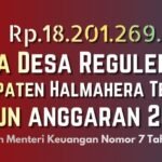 dana desa halteng 2026