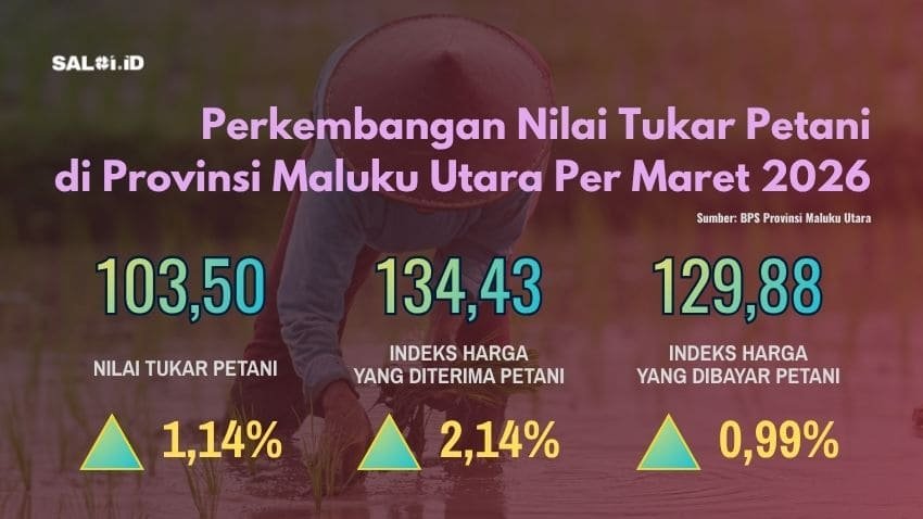 ntp malut maret 2026
